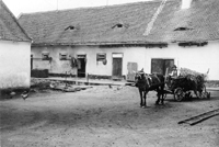 Vejprnice